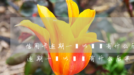 信用卡逾期一萬以內會有什么后果-信用卡逾期一萬以內會有什么后果嗎