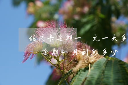 信用卡逾期一萬元一天多少利息-信用卡1萬逾期一月利息多少