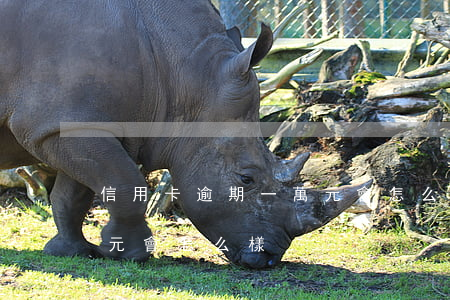 信用卡逾期一萬元會怎么樣(信用卡逾期一萬元會怎么樣)