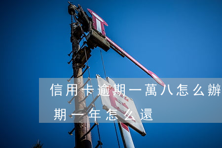 信用卡逾期一萬八怎么辦(八千塊錢信用卡逾期一年怎么還)