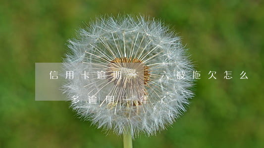 信用卡逾期一萬六被拖欠怎么辦 欠信用卡一萬多逾期一年了