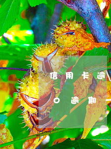 信用卡逾期一萬利息多少錢(信用卡10000逾期一年,一共要還多少錢)