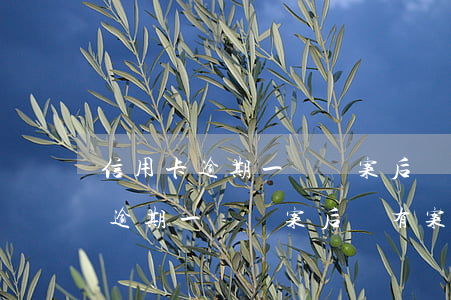 信用卡逾期一萬報案后會有案底嗎-信用卡逾期一萬報案后會有案底嗎知乎