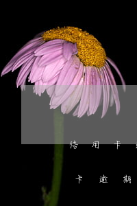 信用卡逾期一萬多久會起訴(一萬以下的信用卡逾期后果)