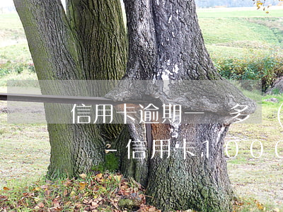 信用卡逾期一萬多會(huì)被限制出行嗎-信用卡10000逾期