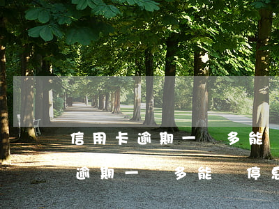 信用卡逾期一萬多能辦停息掛賬嗎-信用卡逾期一萬多能辦停息掛賬嗎知乎