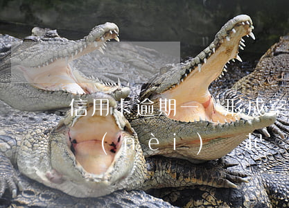 信用卡逾期一萬形成案件(信用卡逾期一萬以內(nèi)會起訴嗎)