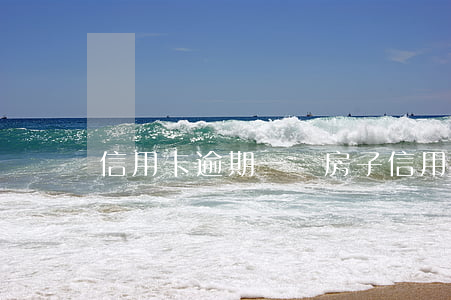 信用卡逾期一萬房子(信用卡逾期一萬房子能過戶嗎)