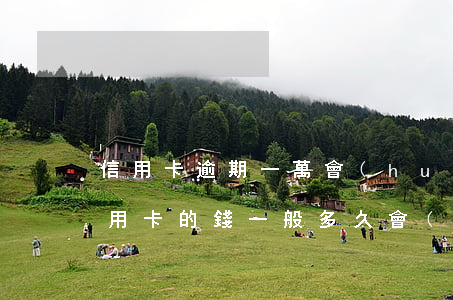 信用卡逾期一萬會(huì)被通緝嗎(欠信用卡的錢一般多久會(huì)被通緝)