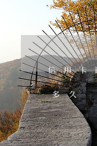 信用卡逾期一萬會判多久(信用卡逾期一萬五多久會被起訴)