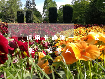 信用卡逾期一萬會家訪么(信用卡逾期會不會影響家里人)