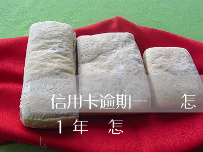信用卡逾期一萬會怎樣(信用卡5000逾期1年會怎樣)