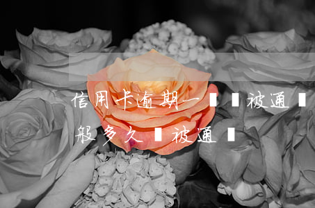 信用卡逾期一萬會被通緝嗎(欠信用卡的錢一般多久會被通緝)
