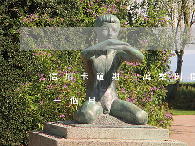 信用卡逾期一萬案例(信用卡1000塊逾期一個月)
