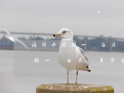 信用卡逾期一萬每月還多少合適-信用卡逾期一萬每月還多少合適呢