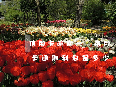信用卡逾期一萬每月還多少合適(一萬多信用卡逾期利息是多少)