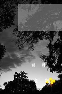 信用卡逾期一萬滯納金(30000元信用卡逾期滯納金一天怎么算)