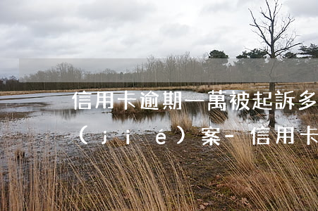 信用卡逾期一萬被起訴多久會(huì)結(jié)案-信用卡逾期一萬被起訴多久會(huì)結(jié)案成功