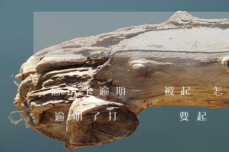 信用卡逾期一萬被起訴怎么辦 信用卡1萬多逾期了,打電話說要起訴