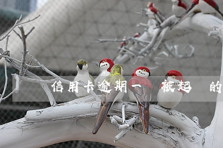 信用卡逾期一萬被起訴的概率