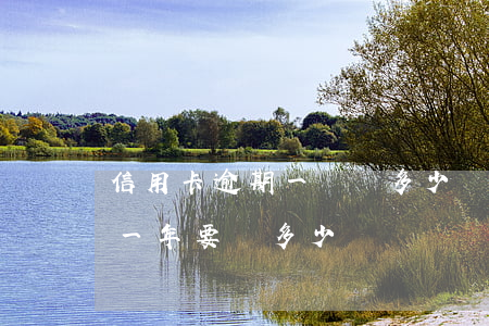 信用卡逾期一萬還多少錢(信用卡二萬元逾期一年要還多少)