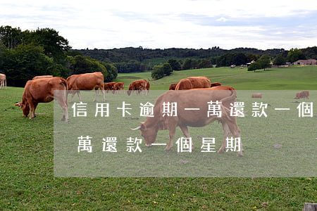 信用卡逾期一萬還款一個星期(信用卡逾期一萬還款一個星期)