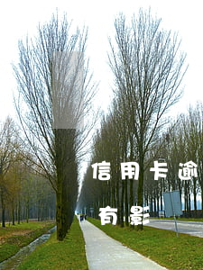 信用卡逾期一輩子的有嗎(逾期一次對信用卡有影響嗎)