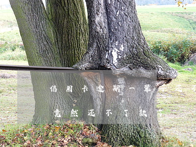 信用卡逾期一辈子还不完(信用卡逾期好久了,竟然还不了款了)