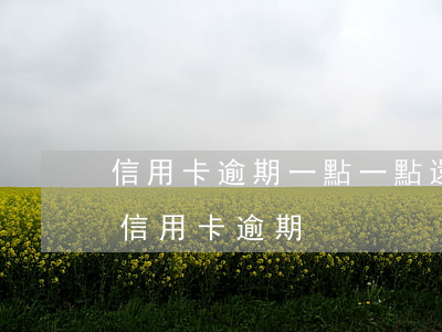 信用卡逾期一點一點還會被起訴嗎-有一筆信用卡逾期