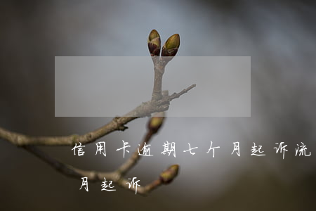 信用卡逾期七个月起诉流程（信用卡逾期七个月起诉）
