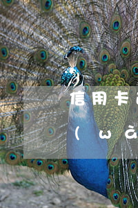 信用卡逾期七個(gè)月不還(信用卡7萬(wàn)逾期半年以上 會(huì)抓人嗎)