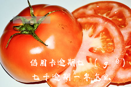 信用卡逾期七個(gè)月了怎么辦(信用卡七千逾期一年怎么辦)