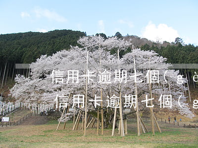 信用卡逾期七個(gè)月催款順序怎么算（信用卡逾期七個(gè)月催款順序）