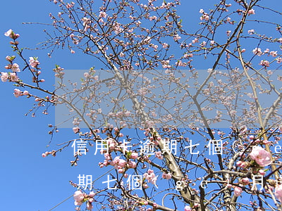 信用卡逾期七個(gè)月還清了 信用卡逾期七個(gè)月還清了還是黑戶嗎