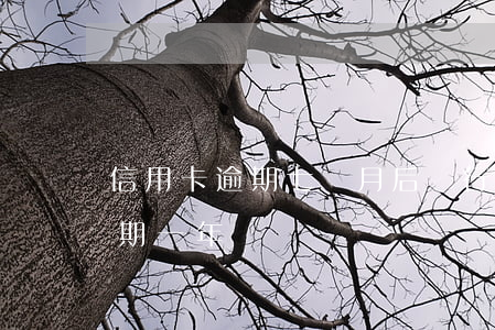 信用卡逾期七個月后銀行起訴(信用卡7千逾期一年)