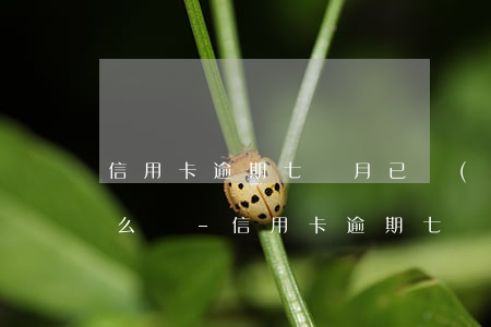 信用卡逾期七個月已經(jīng)查證怎么辦-信用卡逾期七個月已經(jīng)查證怎么辦呢
