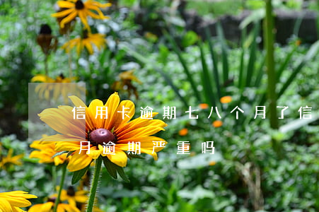 信用卡逾期七八个月了(信用卡5年内有8个月逾期严重吗)