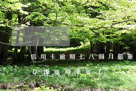 信用卡逾期七八個月嚴重嗎-信用卡7000塊逾期半年了