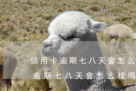 信用卡逾期七八天會怎么樣嗎貼吧-信用卡逾期七八天會怎么樣嗎貼吧最新