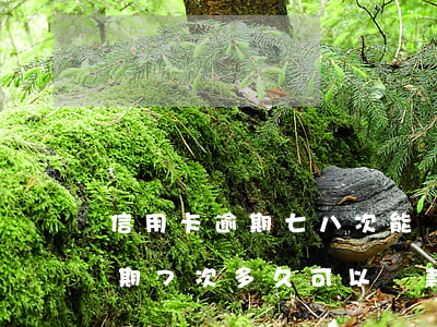 信用卡逾期七八次能貸款嗎(連續(xù)逾期7次多久可以貸款)
