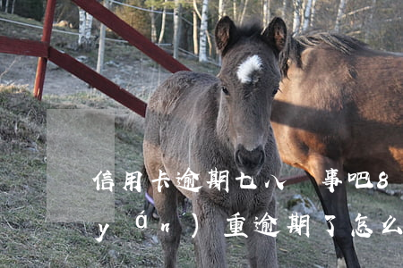 信用卡逾期七八沒事吧 8張信用卡全部嚴(yán)重逾期了怎么辦