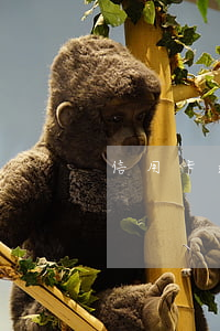 信用卡逾期七千塊（信用卡逾期七千塊）