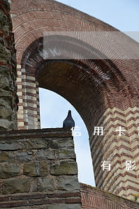 信用卡逾期七天上征信嗎(信用卡逾期七天有沒有影響)