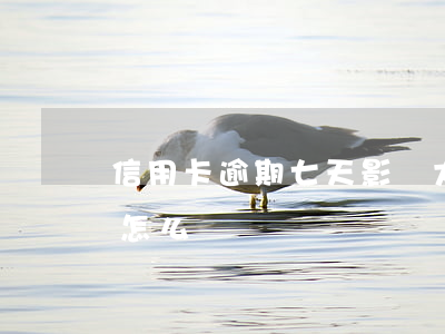 信用卡逾期七天影響大么(信用卡逾期7天會怎么樣)