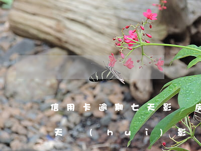 信用卡逾期七天影響房貸嗎(銀行貸款逾期七天會(huì)影響征信嗎)