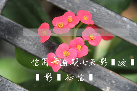 信用卡逾期七天影響政審(信用卡逾期了七天會影響征信嗎)