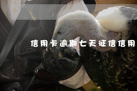 信用卡逾期七天征信(信用卡逾期7天怎么辦)