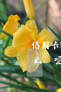 信用卡逾期七天怎么辦呢(信用卡逾期七天怎么辦呢)