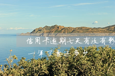 信用卡逾期七天有没有影响(7万信用卡逾期一年了要还多少)