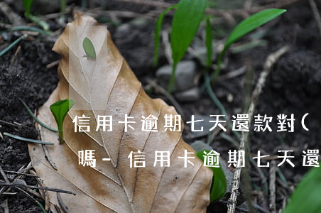 信用卡逾期七天還款對(duì)我有影響嗎-信用卡逾期七天還款對(duì)我有影響嗎知乎